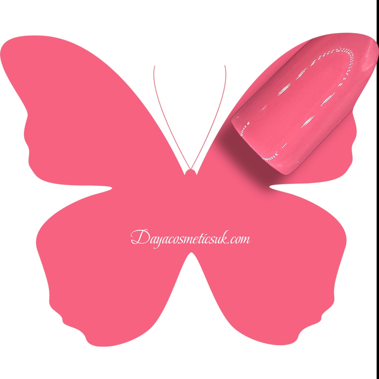 Pink Coquette